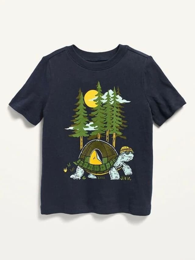 22. Turtle in the Forest