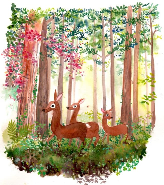 Deer
