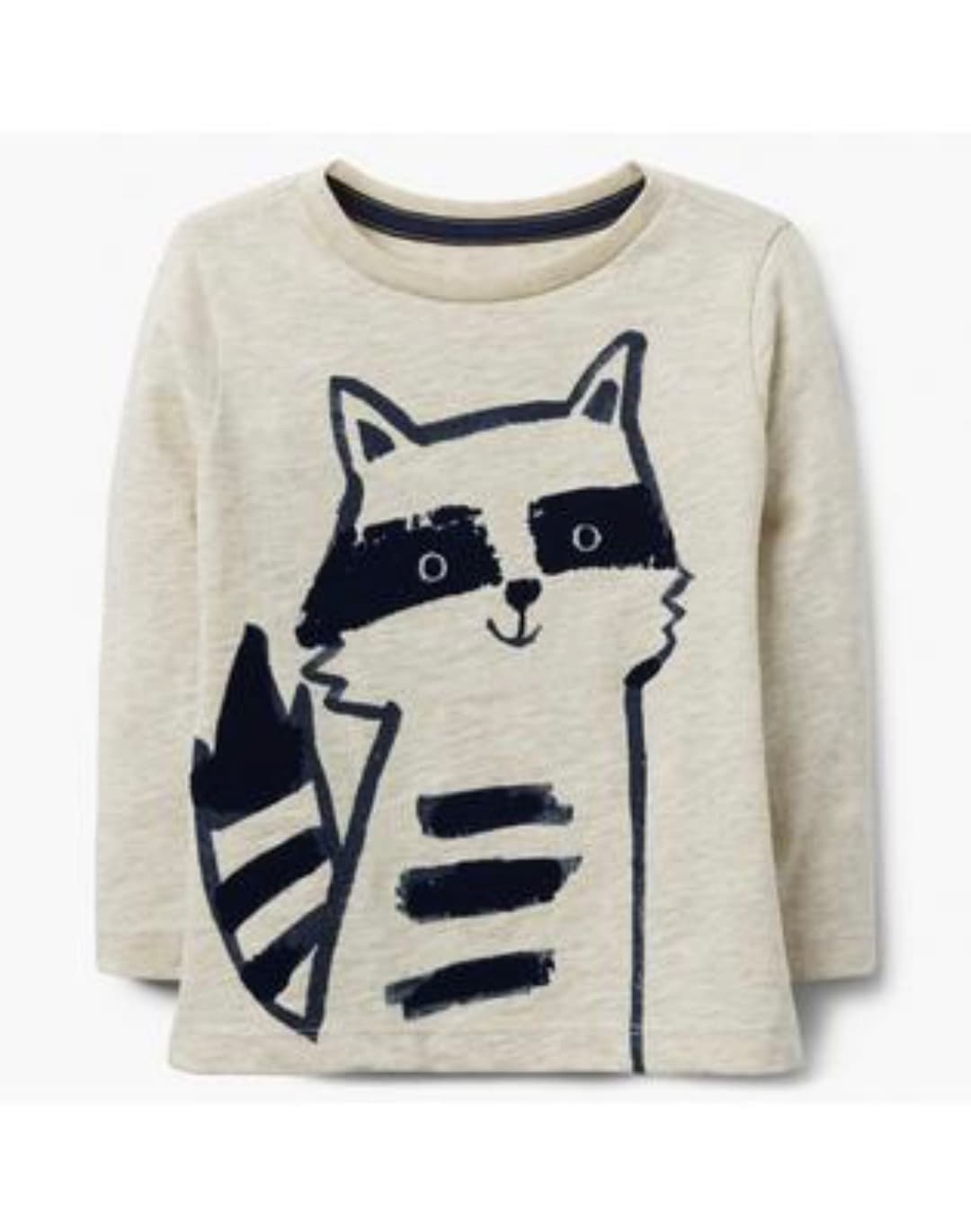 Cute Raccoon