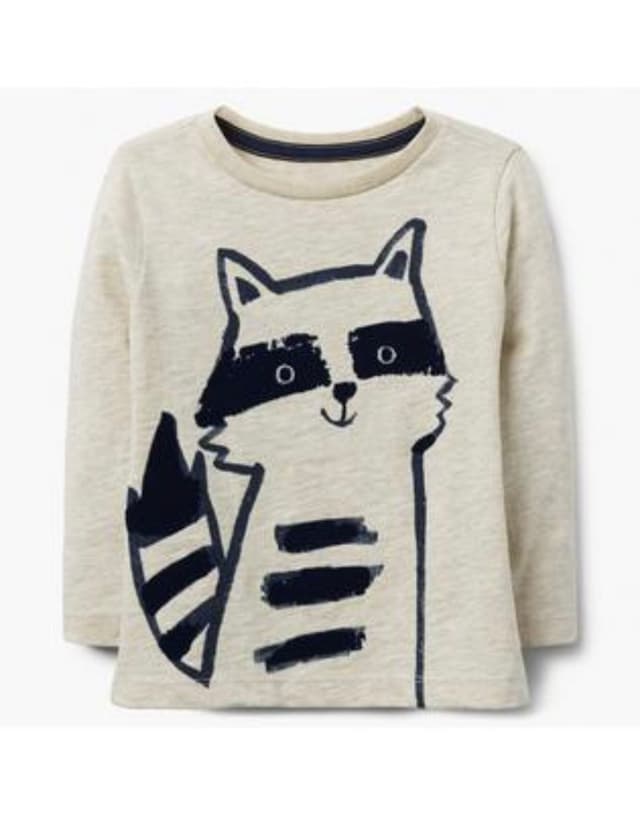 Cute Raccoon