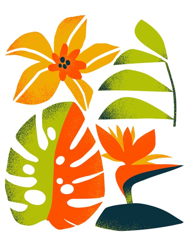 07. Cool Plants